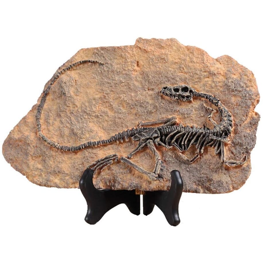 Resin Dinosaur Fossil 2